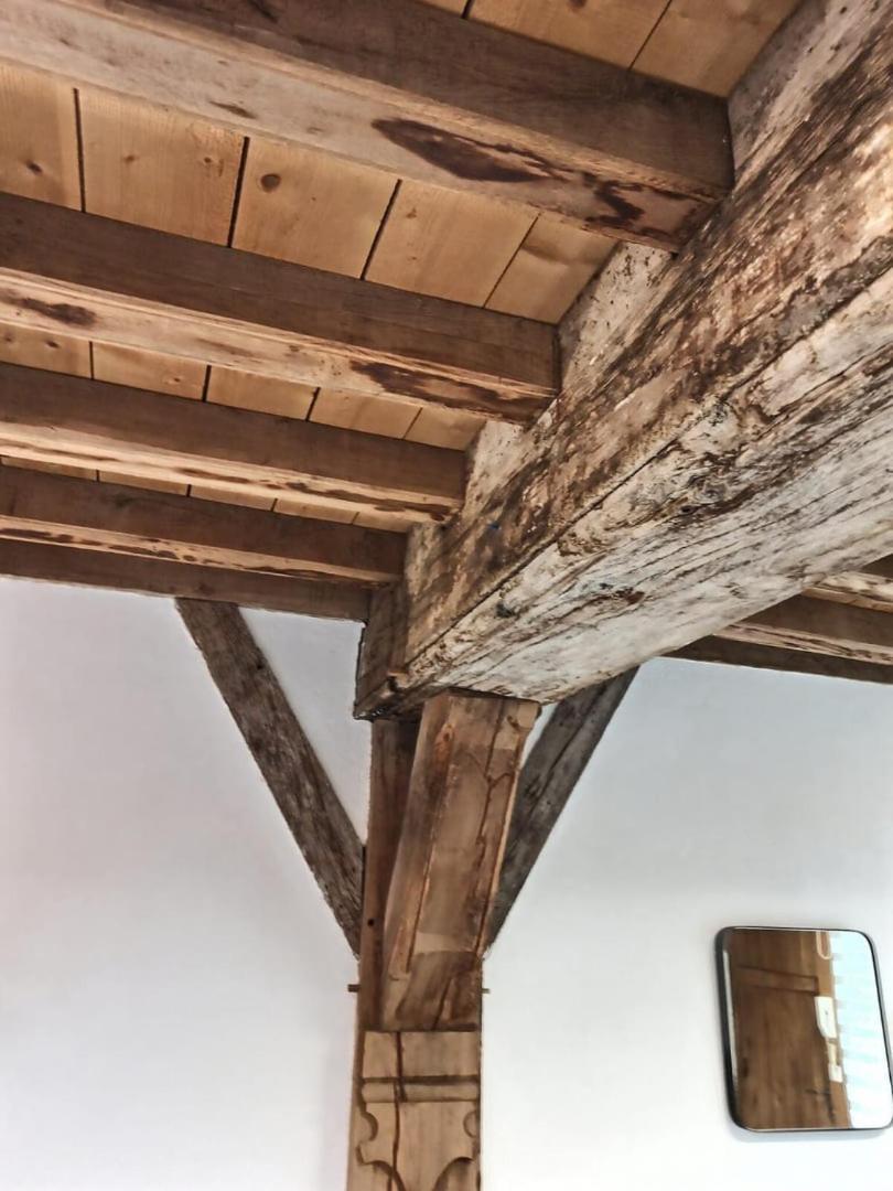 Le Scarabee Bleu - Confort Fonctionnel - Mon Groom Troyes Exteriör bild